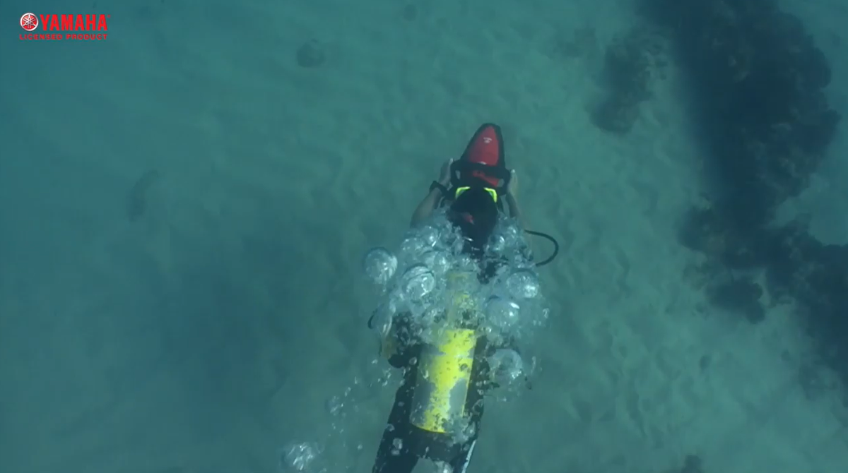 Ponzi scheme suspect tries to escape FBI using underwater ‘sea scooter(01)